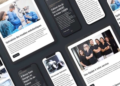 eve laurent mock up15